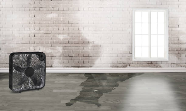 , TN Water damage restoration Company
